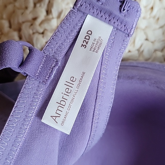 Ambrielle organic cotton full coverage purple bra, 32DD - Picture 6 of 11